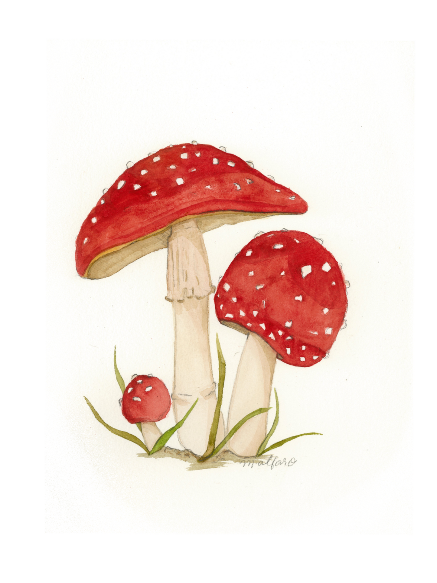 Red Mushroom Print