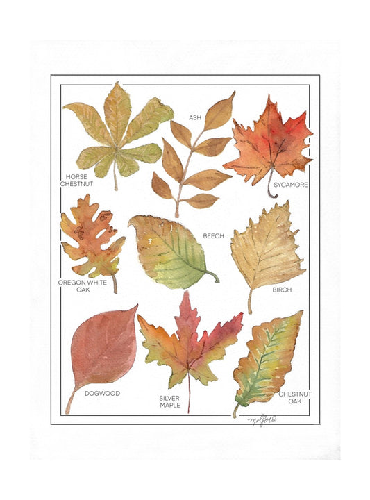 Fall Leaves Print