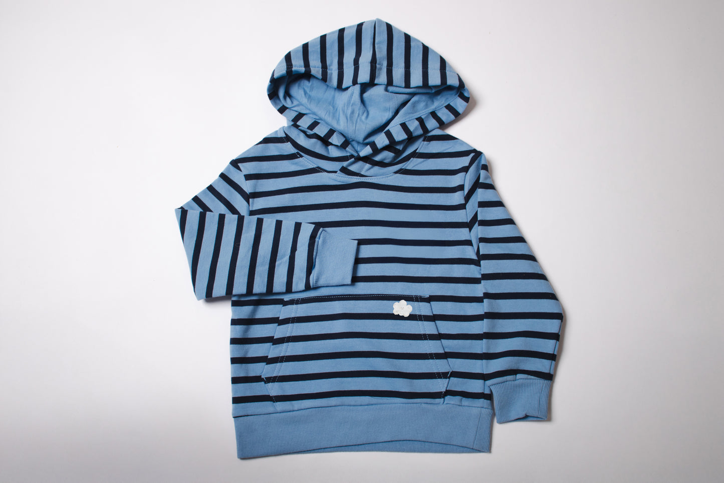 Blue Striped Hoodie