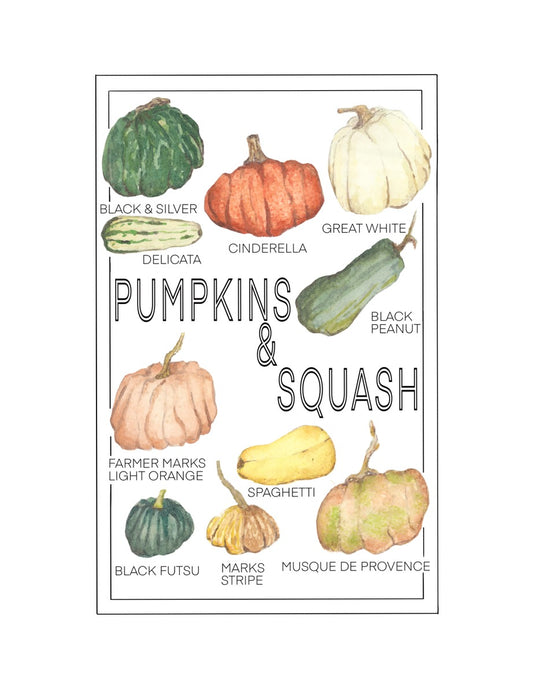 Pumpkins And Squash Print